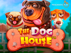 Kanal d köpek balığı saldırısı. Casino net.45